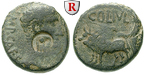 66588 Augustus, Bronze