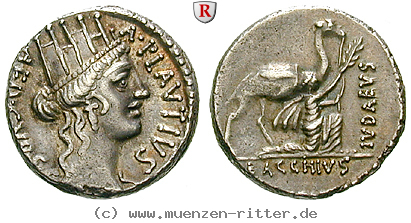 a-plautius-denar/18496.jpg