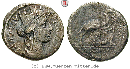 a-plautius-denar/48593.jpg