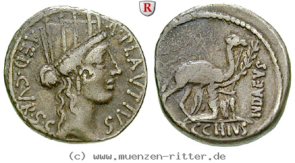 a-plautius-denar/51834.jpg