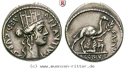 a-plautius-denar/79615.jpg