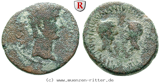 achaia-augustus-semis/erom5454.jpg