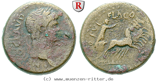 achaia-nero-semis/erom5455.jpg
