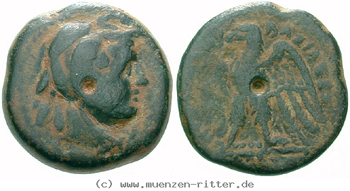 Klicken Sie auf das Bild um es auf Ihrem Rechner zu speichern aegypten-ptolemaios-ii-bronze/egri9552.jpg