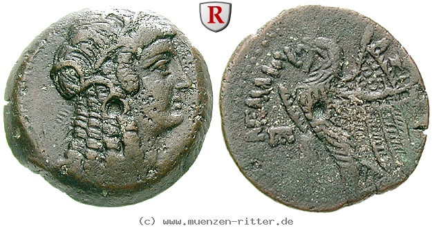 aegypten-ptolemaios-vi-bronze/49401.jpg