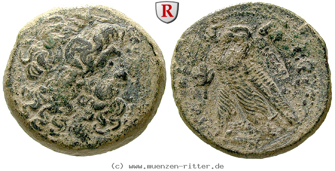 aegypten-ptolemaios-vi-bronze/59733.jpg