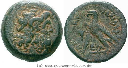 aegypten-ptolemaios-vi-bronze/egri9549.jpg