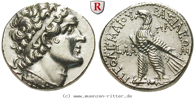 Klicken Sie auf das Bild um es auf Ihrem Rechner zu speichern aegypten-ptolemaios-vi-tetradrachme/56270.jpg
