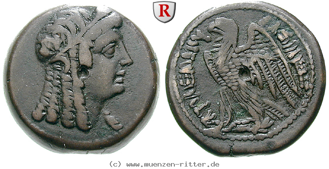 aegypten-ptolemaios-vi-und-kleopatra-i-bronze/93487.jpg