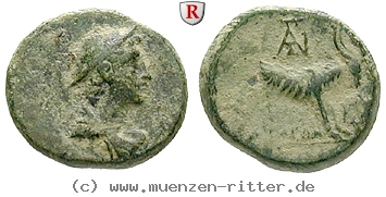 aiolis-bronze/37937.jpg