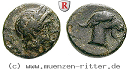aiolis-bronze/61284.jpg