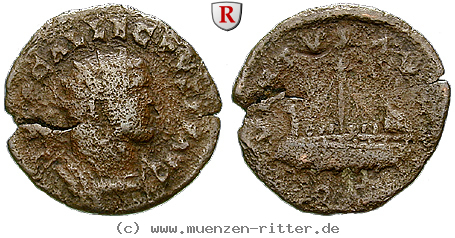 allectus-quinar/93854.jpg