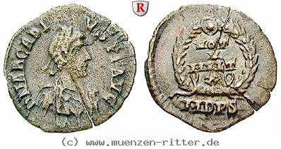 Klicken Sie auf das Bild um es auf Ihrem Rechner zu speichern arcadius-siliqua/54952.jpg