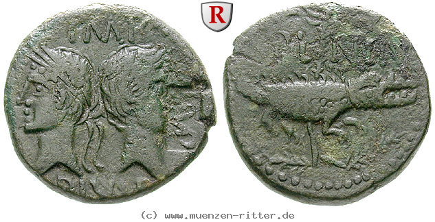 augustus-as/51888.jpg