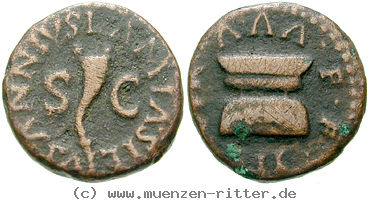 augustus-quadrans/erom5655.jpg