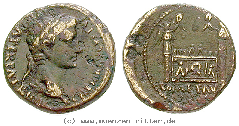 augustus-semis/16484.jpg