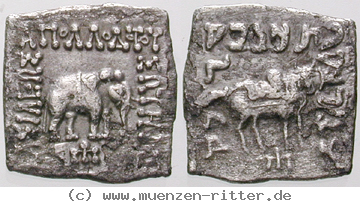baktrien-und-indien-apollodotos-i-hemidrachme/egri10569.jpg