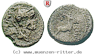 c-antius-restio-quinar/erom5892.jpg