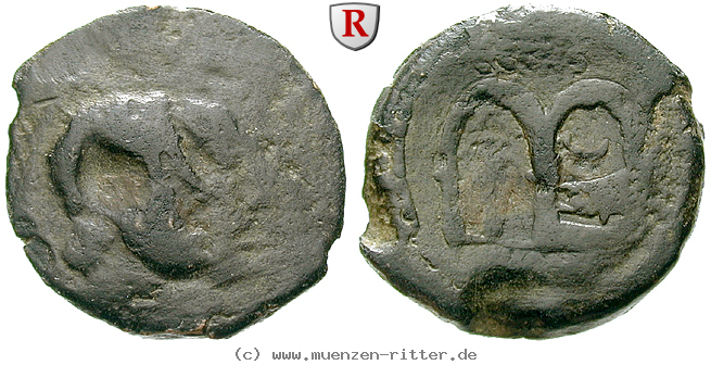 c-censorinus-as/48802.jpg