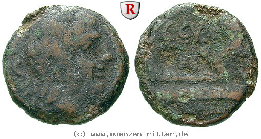 Klicken Sie auf das Bild um es auf Ihrem Rechner zu speichern c-curiatius-trigeminus-semis/66481.jpg