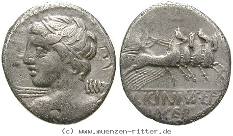 c-licinius-macer-denar/erom7757.jpg