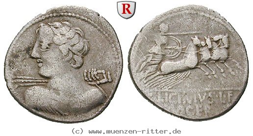 c-licinius-macer-denar/erom9345.jpg
