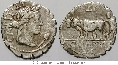 c-marius-denar-serratus/erom7012.jpg