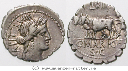 c-marius-denar-serratus/erom9323.jpg