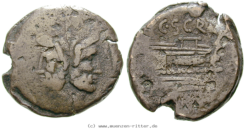 c-scribonius-as/24438.jpg