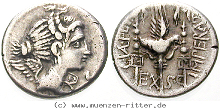 Klicken Sie auf das Bild um es auf Ihrem Rechner zu speichern c-valerius-flaccus-denar/erom10453.jpg