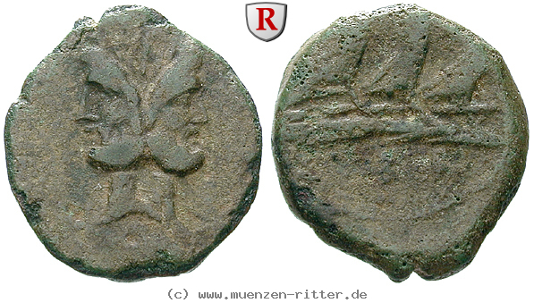 Klicken Sie auf das Bild um es auf Ihrem Rechner zu speichern c-vibius-pansa-as/48800.jpg