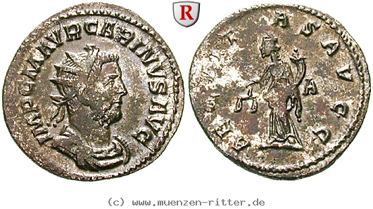 carinus-antoninian/erom10437.jpg