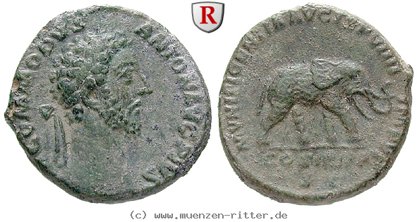 Klicken Sie auf das Bild um es auf Ihrem Rechner zu speichern commodus-as/76404.jpg