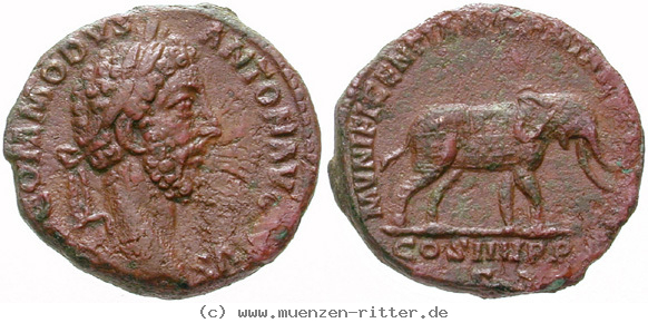 Klicken Sie auf das Bild um es auf Ihrem Rechner zu speichern commodus-as/erom9629.jpg