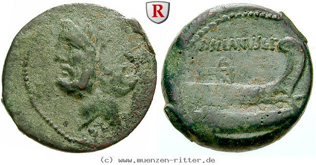 d-silanus-as/47309.jpg