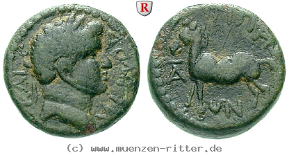 Klicken Sie auf das Bild um es auf Ihrem Rechner zu speichern dekapolis-domitianus-bronze/64504.jpg