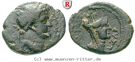 dekapolis-titus-caesar-bronze/64509.jpg