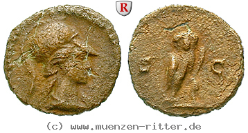 domitianus-quadrans/50083.jpg
