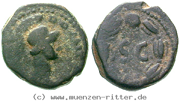 domitianus-quadrans/erom8275.jpg