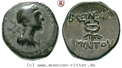 galatien-amyntas-bronze/61119.jpg