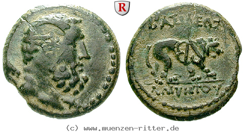 galatien-amyntas-bronze/61120.jpg