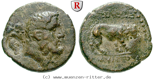Klicken Sie auf das Bild um es auf Ihrem Rechner zu speichern galatien-amyntas-bronze/65655.jpg