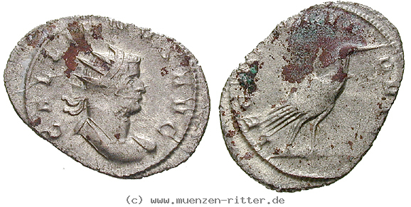 gallienus-antoninian/16617.jpg