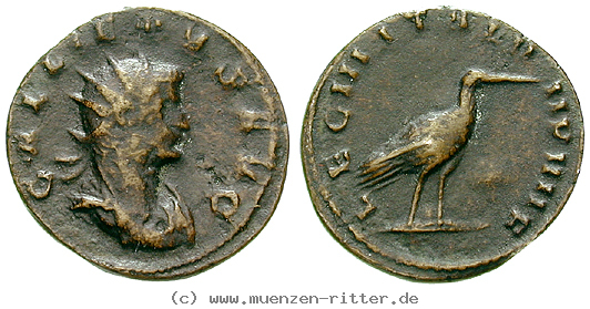 Klicken Sie auf das Bild um es auf Ihrem Rechner zu speichern gallienus-antoninian/49036.jpg