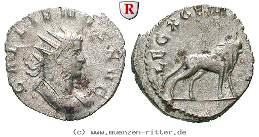 Klicken Sie auf das Bild um es auf Ihrem Rechner zu speichern gallienus-antoninian/erom6433.jpg
