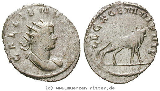 gallienus-antoninian/erom6434.jpg