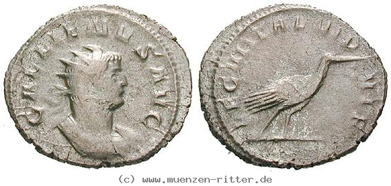 gallienus-antoninian/erom7231.jpg