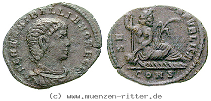 hannibalianus-follis/18558.jpg