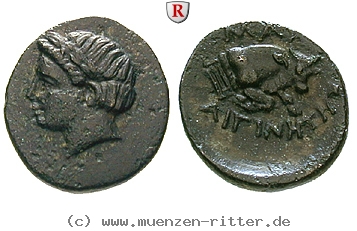 Klicken Sie auf das Bild um es auf Ihrem Rechner zu speichern ionien-bronze/101456.jpg