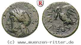 Klicken Sie auf das Bild um es auf Ihrem Rechner zu speichern ionien-bronze/32385.jpg